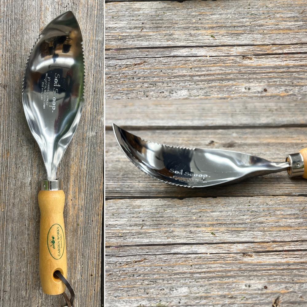 Serrated Scoop - Wooden Handle