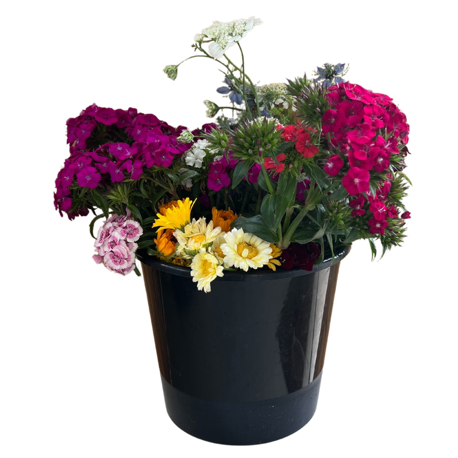5L Flower Bucket 5pk