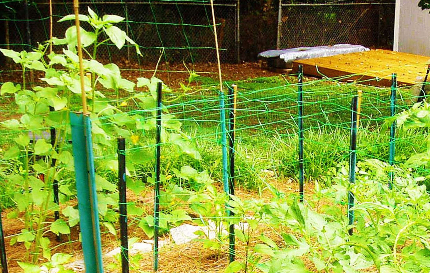 Green Plant Support Netting - Clearance