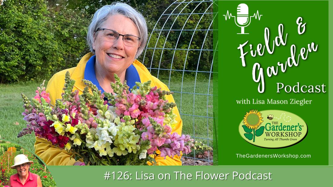 #126: Lisa on The Flower Podcast (finding your niche market & business model, top 5 flowers to grow)