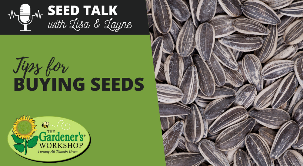 #115 - Tips for Buying Seeds