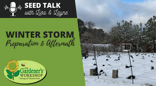 #124 - Winter Storm Preparation & Aftermath