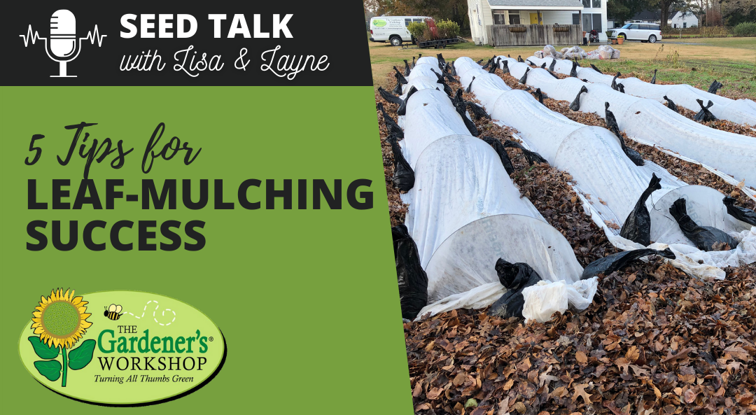 #139 - 5 Tips for Leaf-Mulching Success