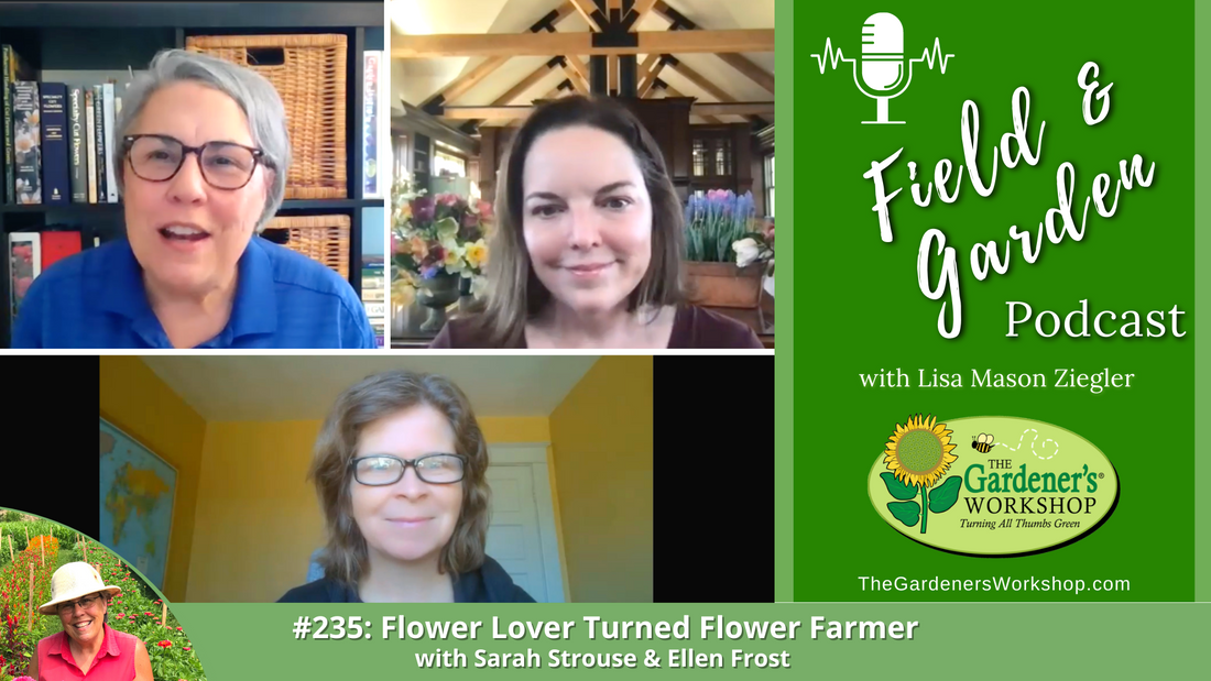 235 Flower Lover Turned Flower Farmer Sarah Strouse