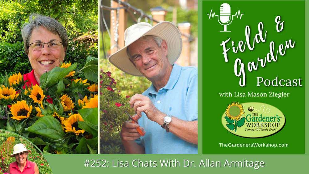 _252_Lisa_Chats_With_Dr._Allan_Armitage