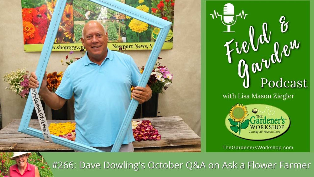 _266 Dave Dowling's October Q_A on Ask a Flower Farmer