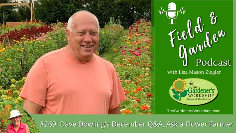 _269 Dave Dowling's December Q_A_ Ask a Flower Farmer