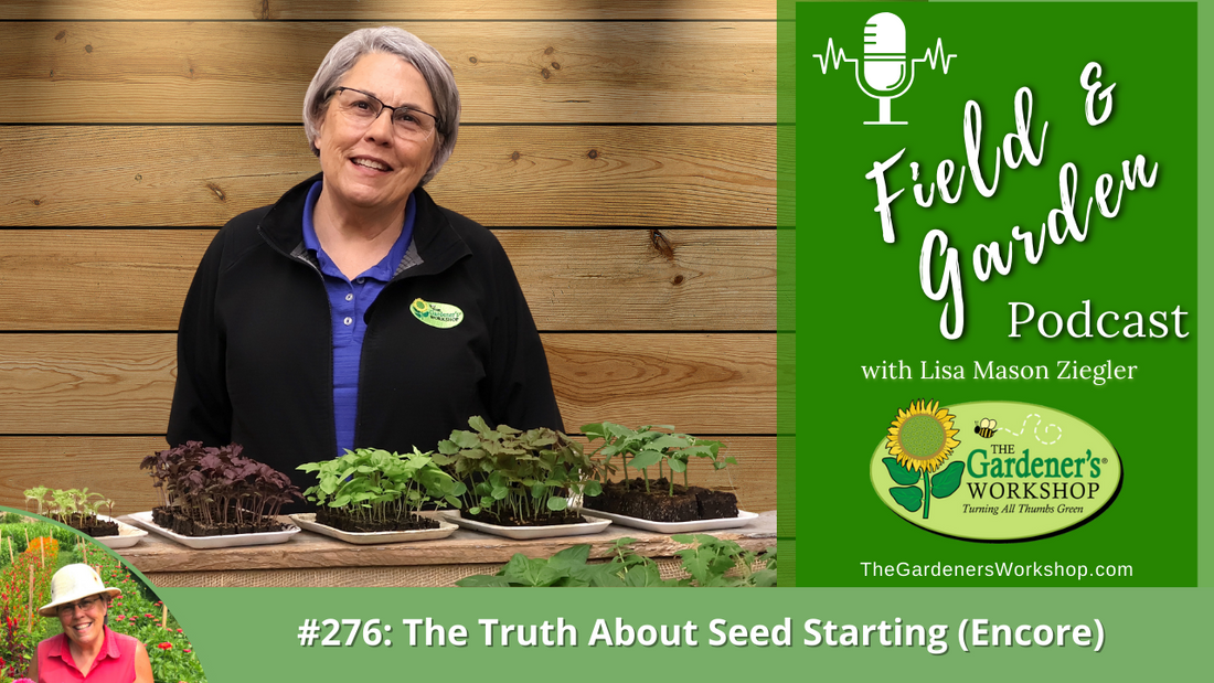 _276 The Truth About Seed Starting (Encore) (1)