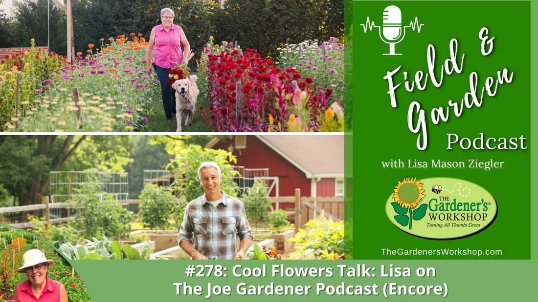 _278 Cool Flowers Talk Lisa on The Joe Gardener Podcast (Encore)