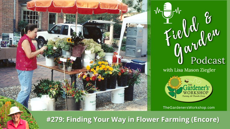 _279 Finding Your Way in Flower Farming (Encore)