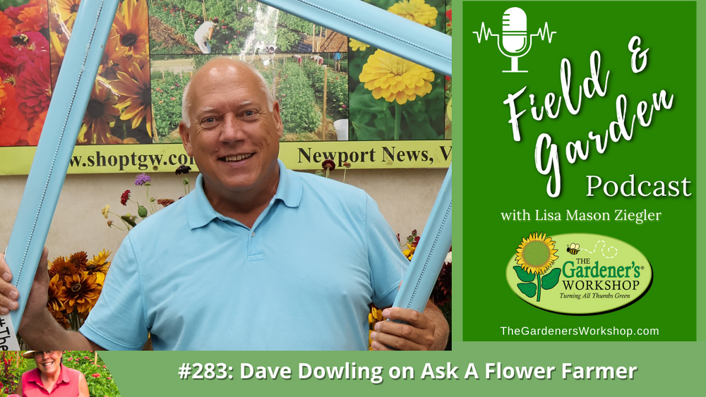 _283 Dave Dowling on Ask A Flower Farmer