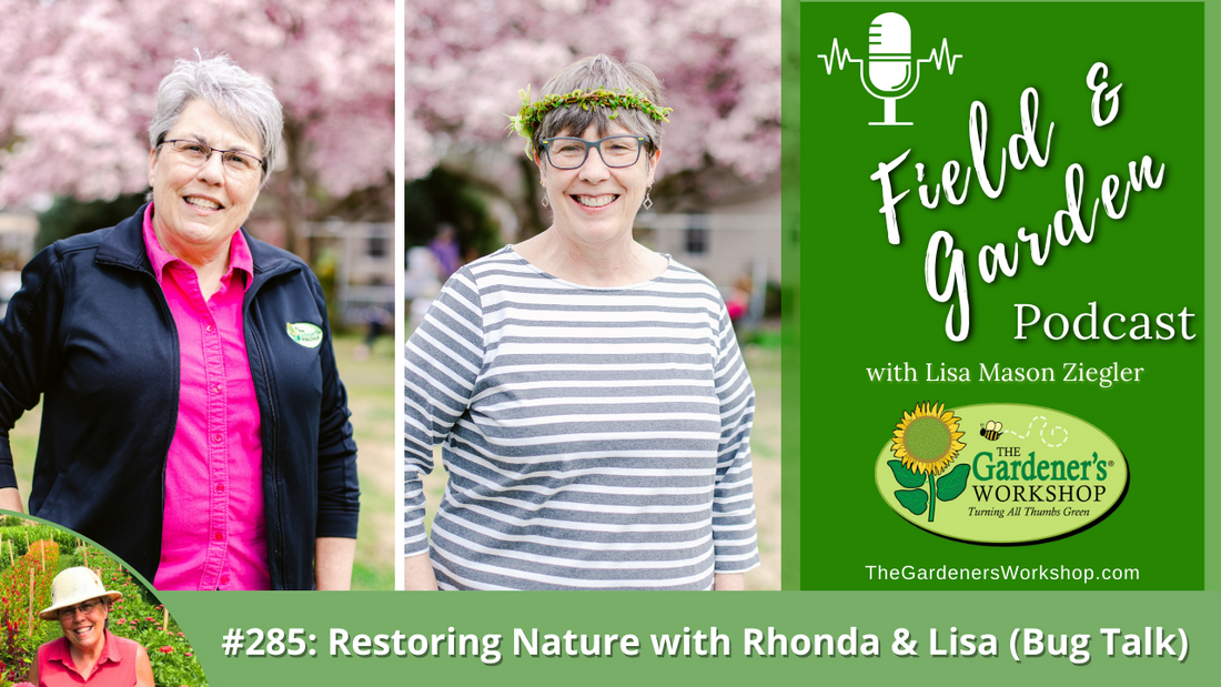 _285 Restoring Nature with Rhonda _ Lisa (Bug Talk)