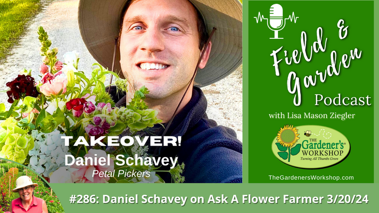 _286 Daniel Schavey on Ask A Flower Farmer 32024 (1)