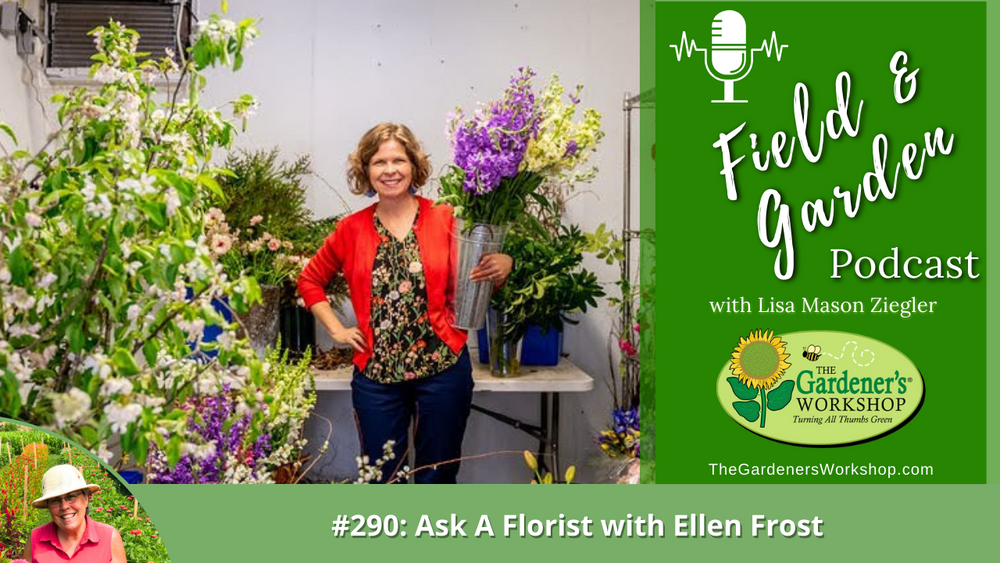 _290 Ask A Florist with Ellen Frost