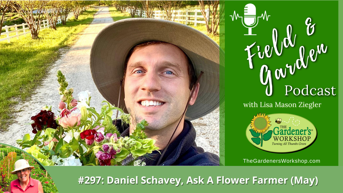 _297 Daniel Schavey_ Ask A Flower Farmer (May)