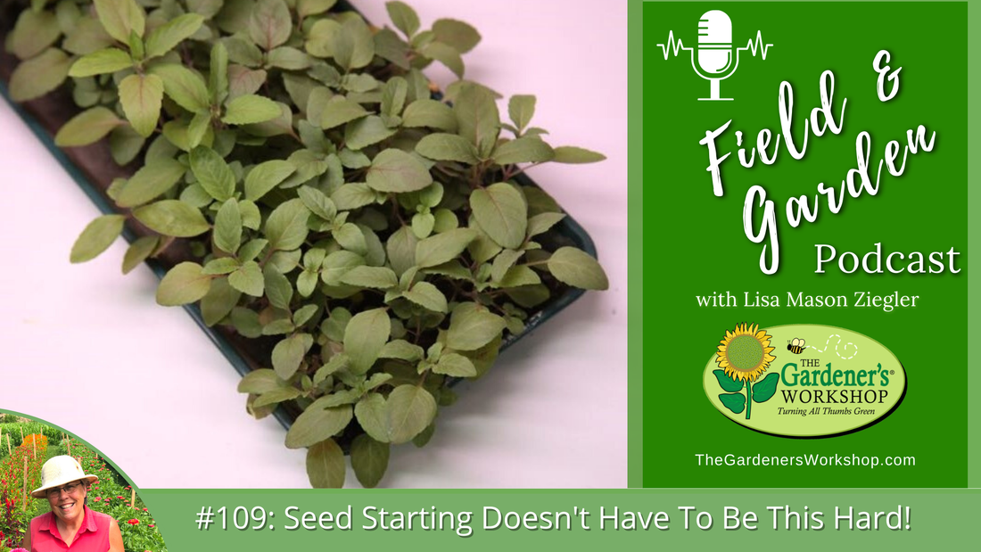 #109: Listen Again: Seed Starting Doesn’t Have To Be This Hard!