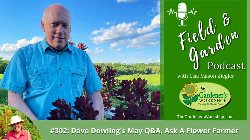 _302 Dave Dowling's May Q_A_ Ask A Flower Farmer