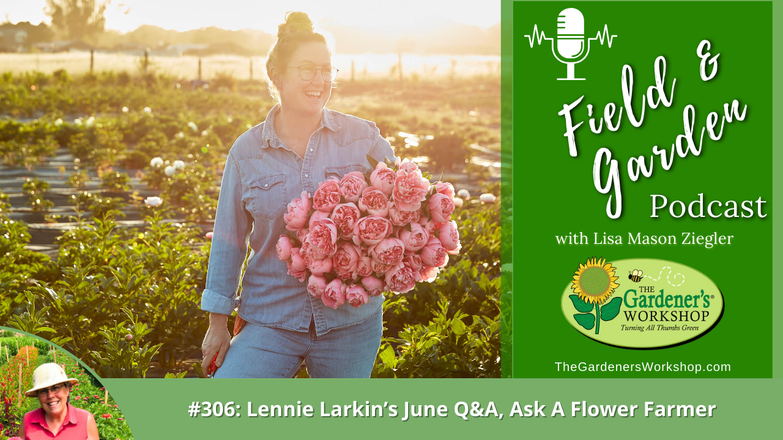 _306 Lennie Larkin's June Q_A_ Ask A Flower Farmer