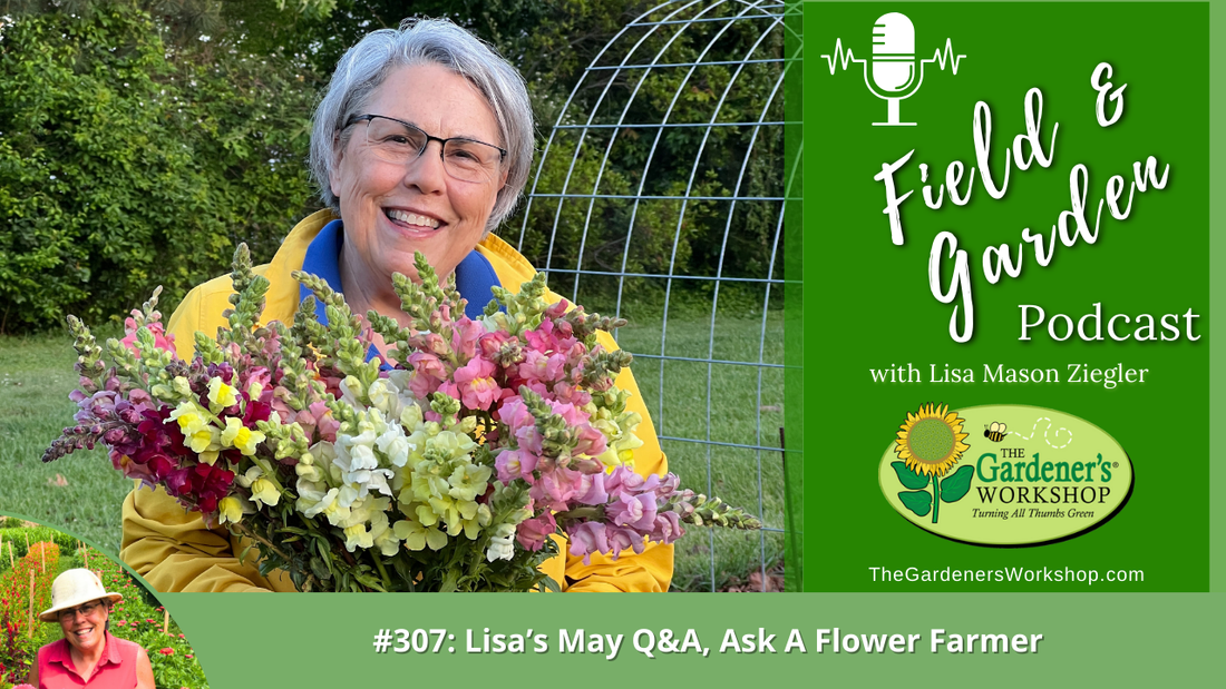 _307 Lisa's May Q_A_ Ask A Flower Farmer