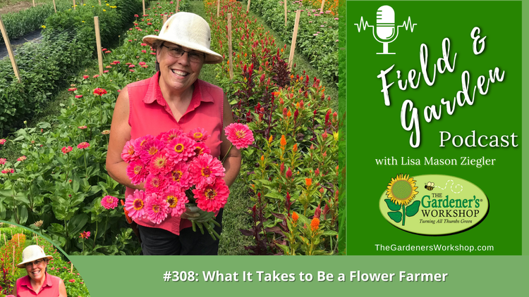 #308: What It Takes to Be a Flower Farmer – The Gardener's Workshop