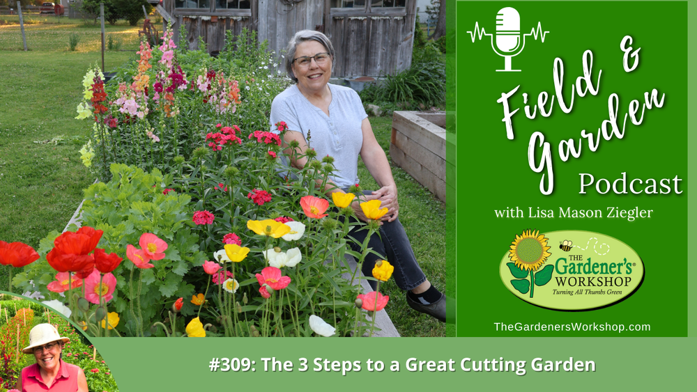 _309 The 3 Steps to a Great Cutting Garden