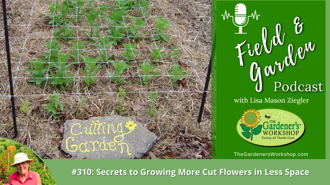 _310 Secrets to Growing More Cut Flowers in Less Space