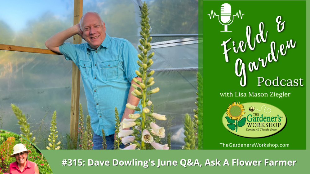 _315 Dave Dowling's June Q_A_ Ask A Flower Farmer (1)