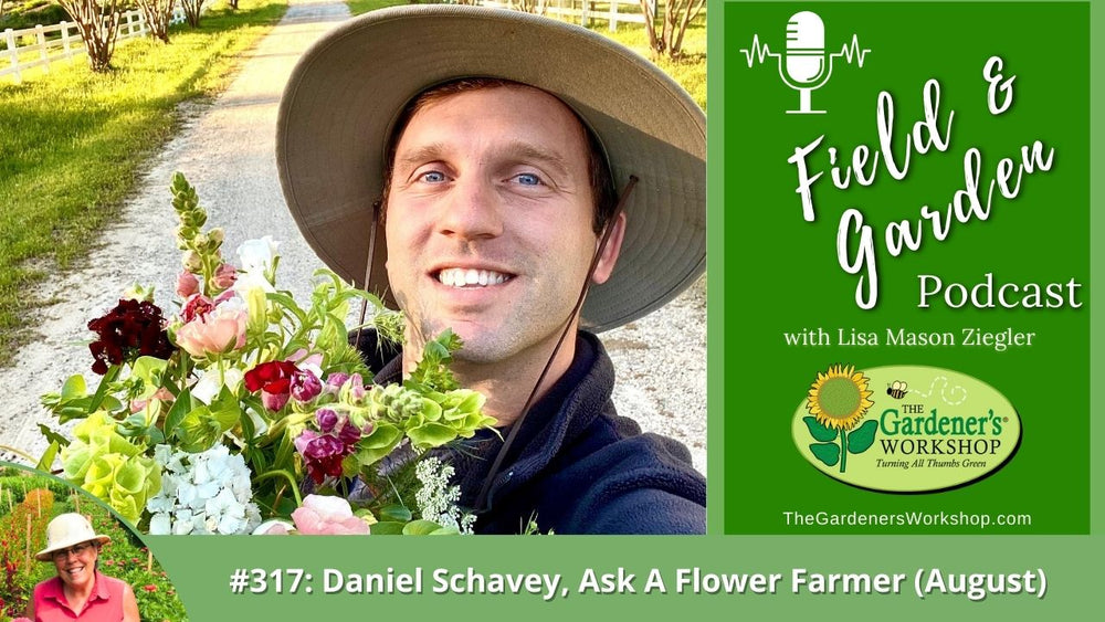 #317: Daniel Schavey, Ask A Flower Farmer