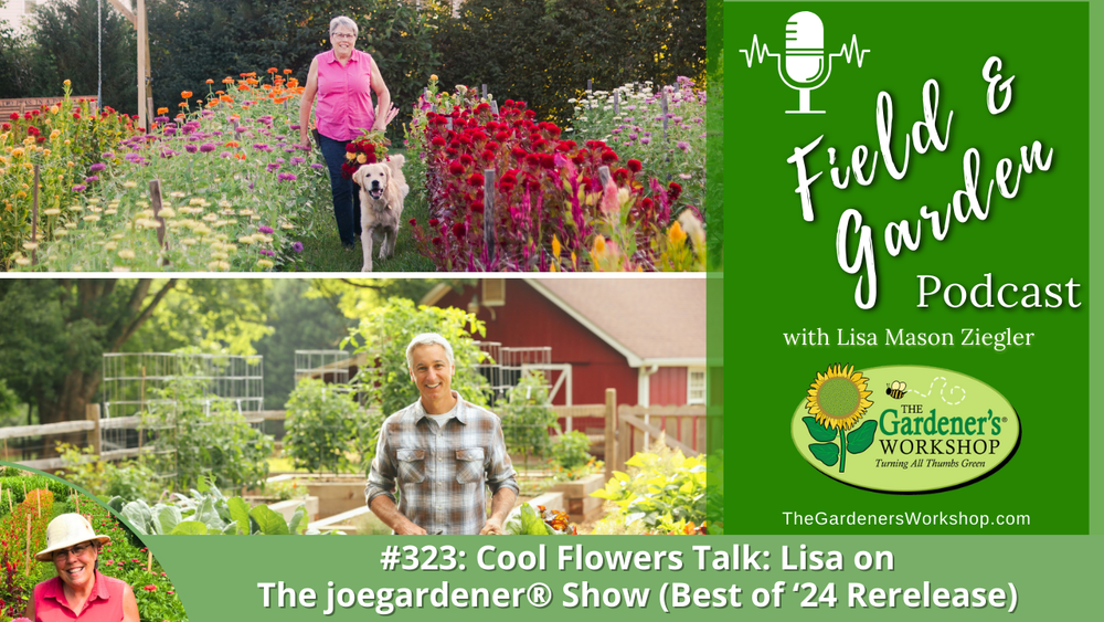 #323: Cool Flowers Talk: Lisa on The joegardener® Show (Best of '24 Rerelease)