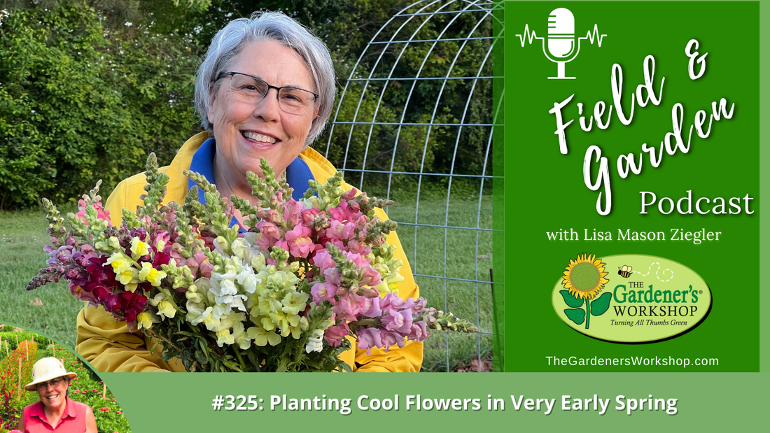 #325: Planting Cool Flowers in Very Early Spring