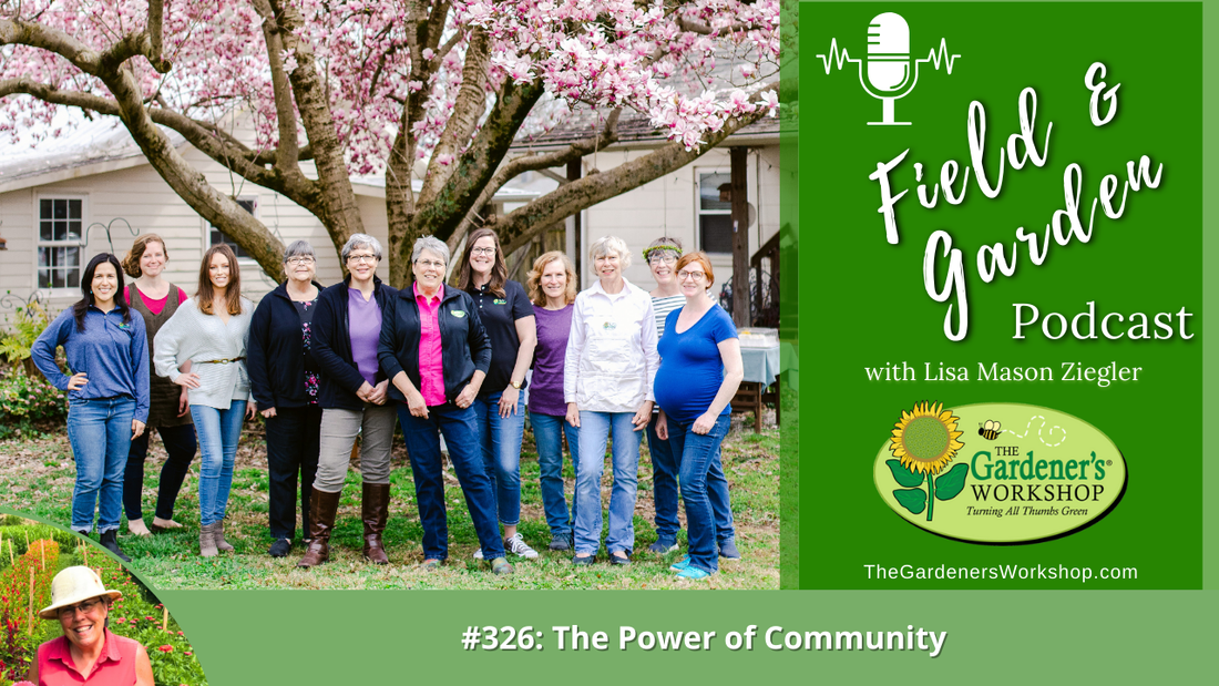 #326: The Power of Community