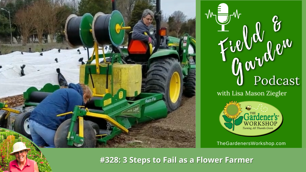 #328: 3 Steps to Fail as a Flower Farmer