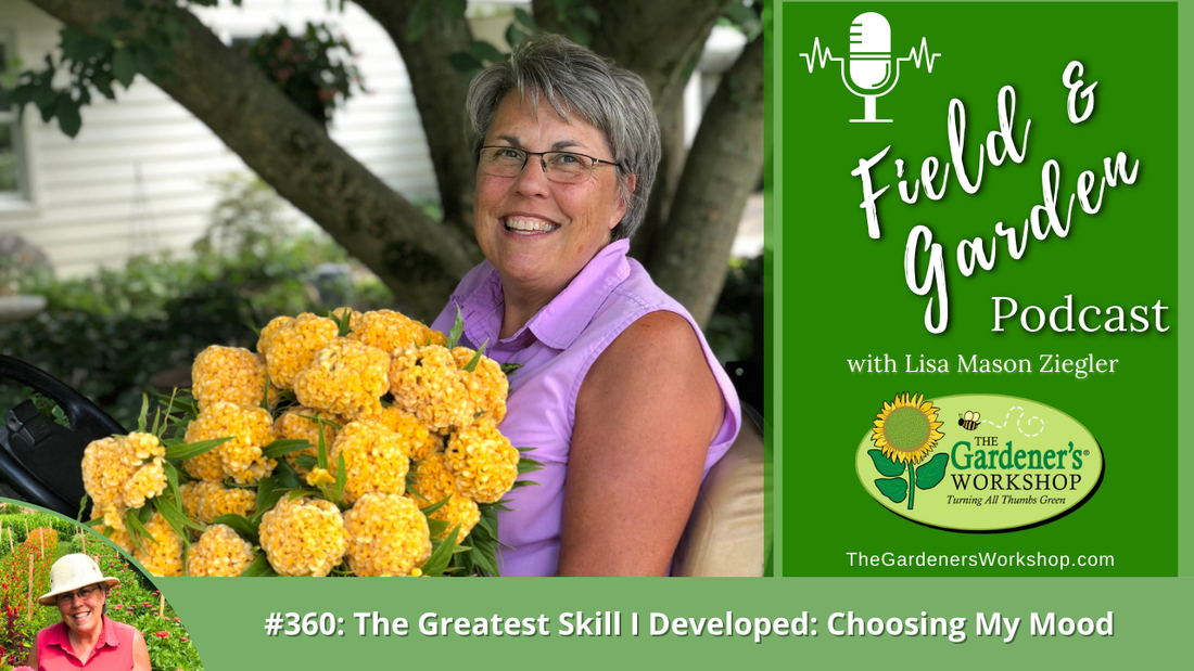 #360: The Greatest Skill I Developed: Choosing My Mood