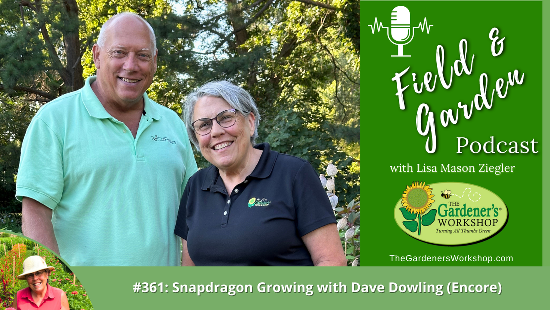 #361: Snapdragon Growing with Dave Dowling (Encore)