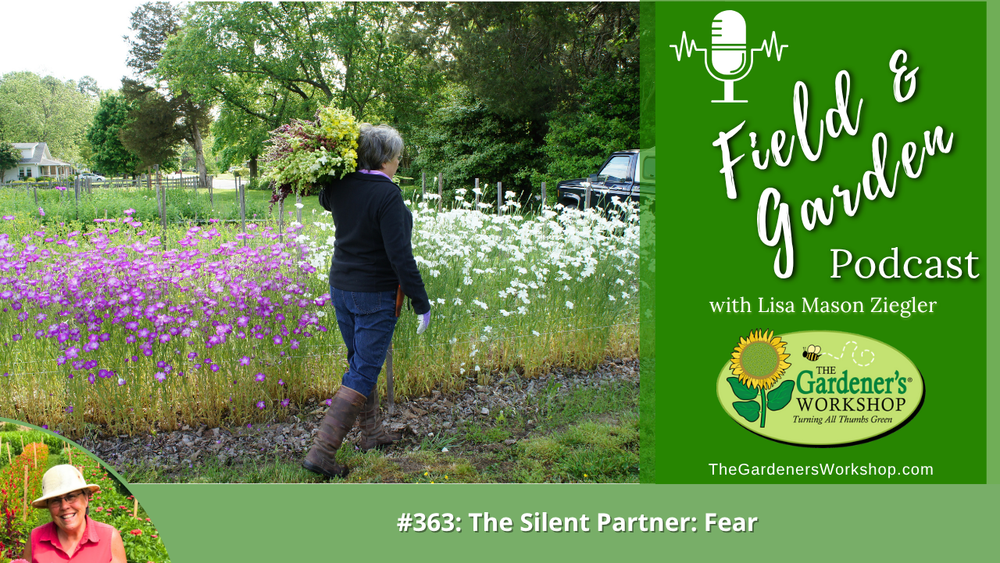 #363: The Silent Partner: Fear