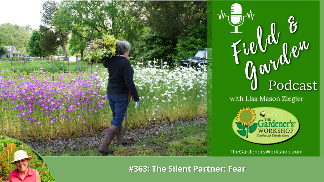 #363: The Silent Partner: Fear