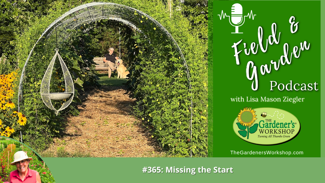 #365: Missing the Start