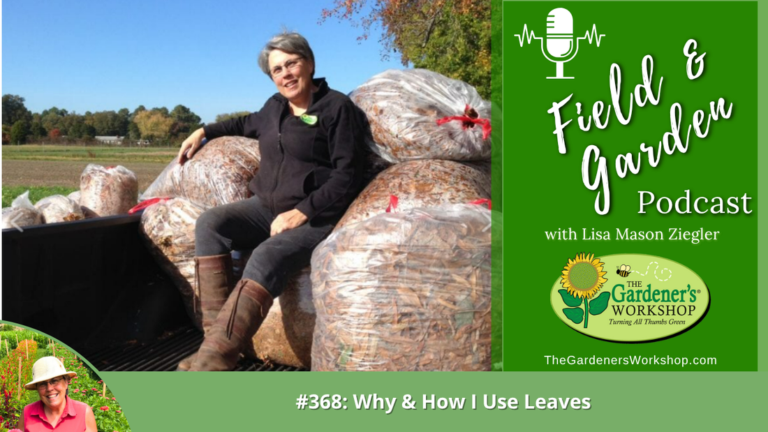 #368: Why & How I Use Leaves