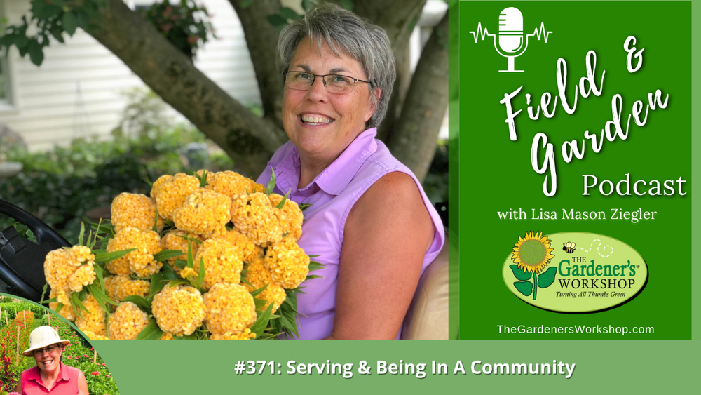 #371: Serving & Being In A Community
