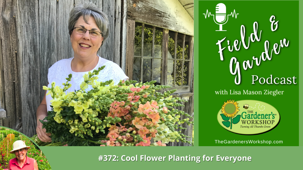 #372: Cool Flower Planting for Everyone