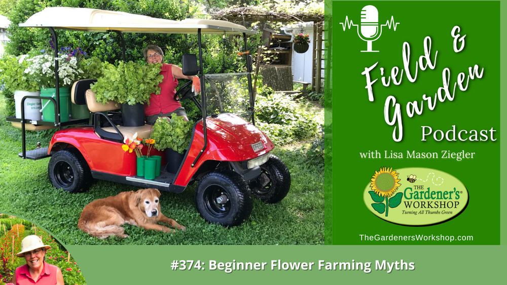 #374: Beginner Flower Farming Myths