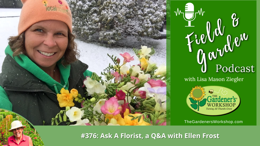 #376: Ask A Florist, a Q&A with Ellen Frost