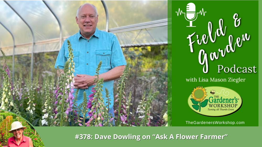 #378: Dave Dowling on "Ask A Flower Farmer"