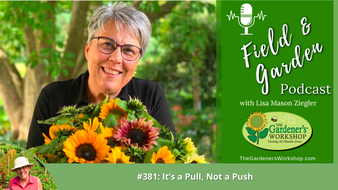 #381: It's a Pull, Not a Push