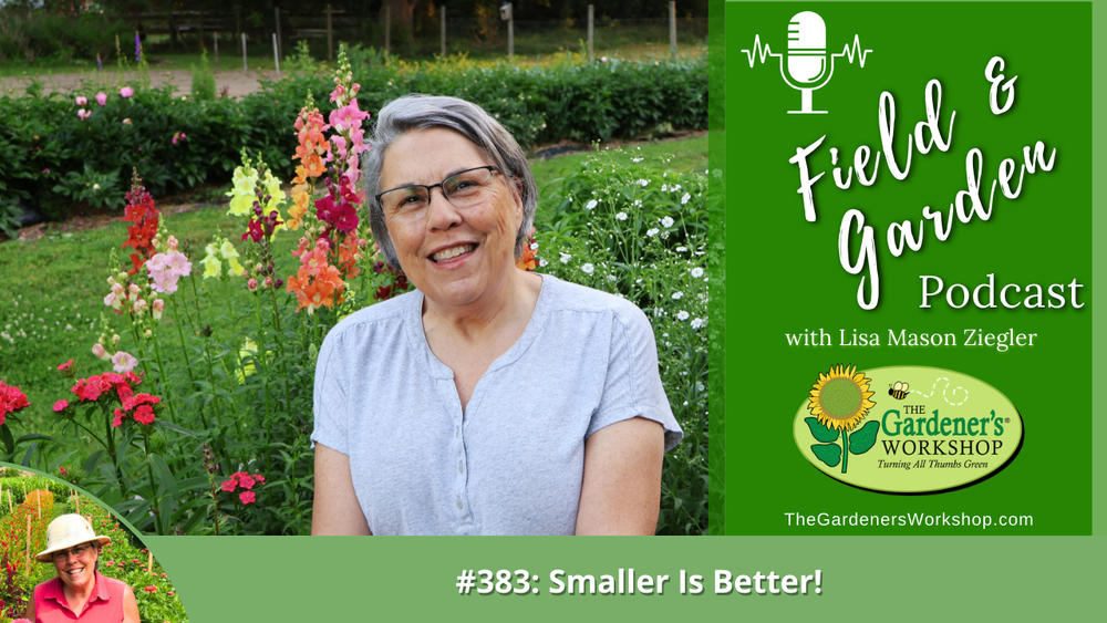 #383: Smaller Is Better!