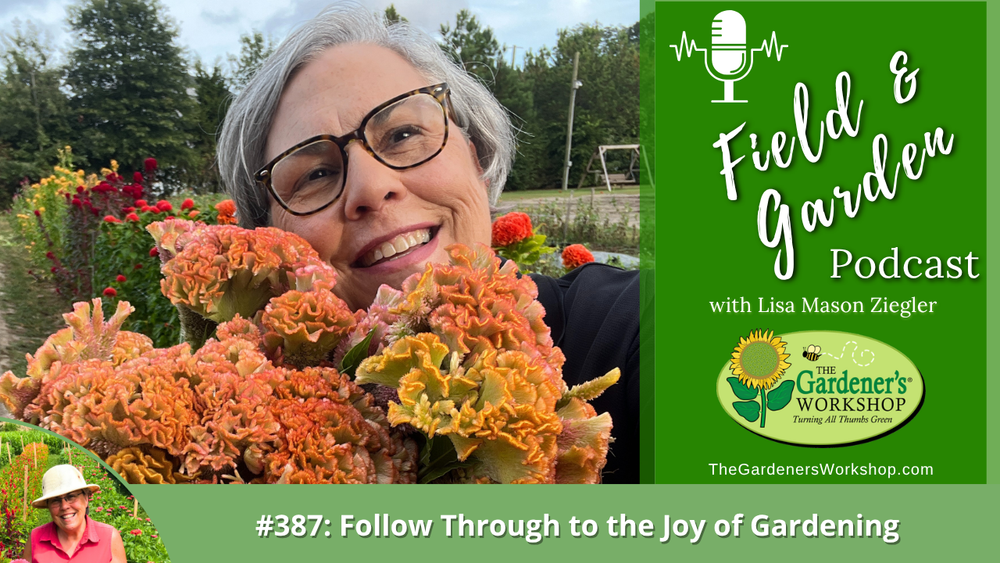 #387: Follow Through to the Joy of Gardening