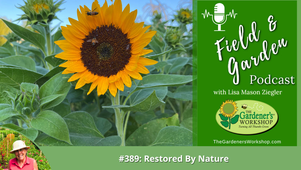 #389: Restored By Nature