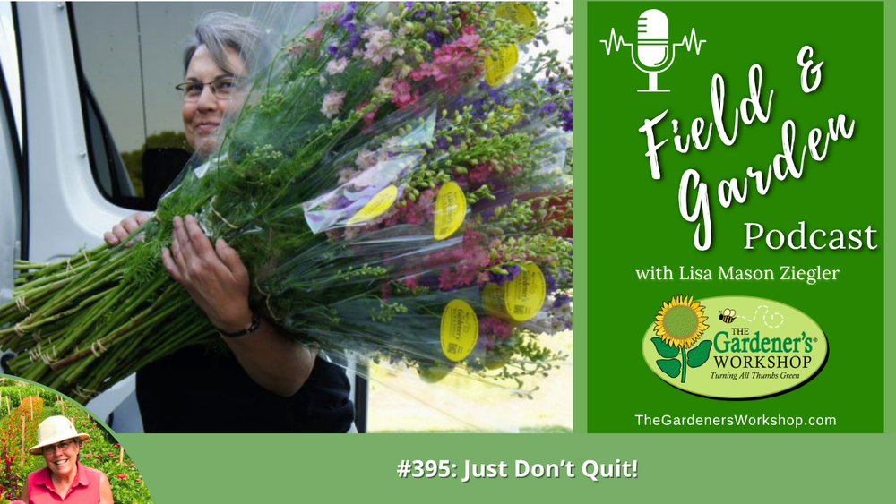 #395: Just Don't Quit!