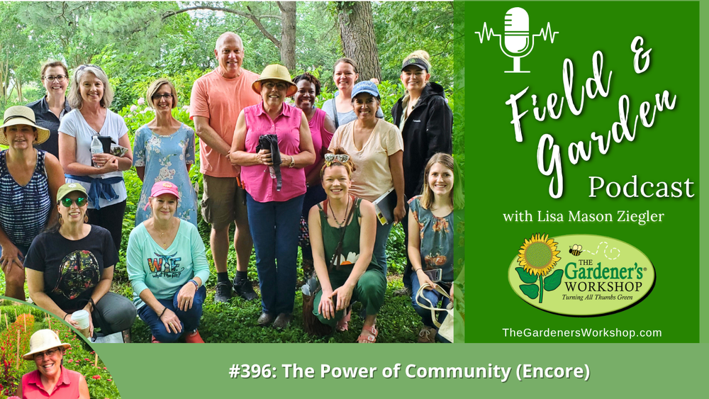 #396: The Power of Community (Encore)
