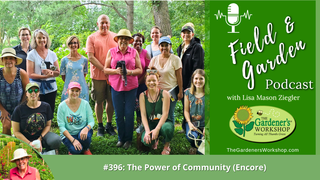 #396: The Power of Community (Encore)